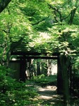 image1.JPG