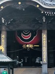 image1.jpeg