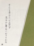 image2.jpeg