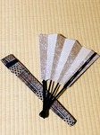 image1.jpeg