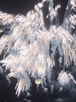 image1.jpeg