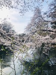 image1.jpeg