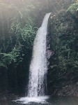 image1.jpeg
